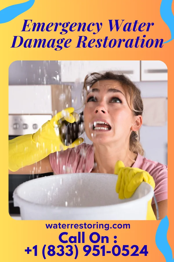 Emergency Water Damage Restoration in Marshall, NC