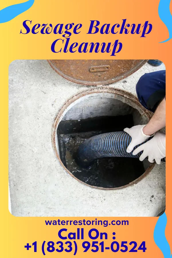 Sewage Backup Cleanup in Marshall, NC