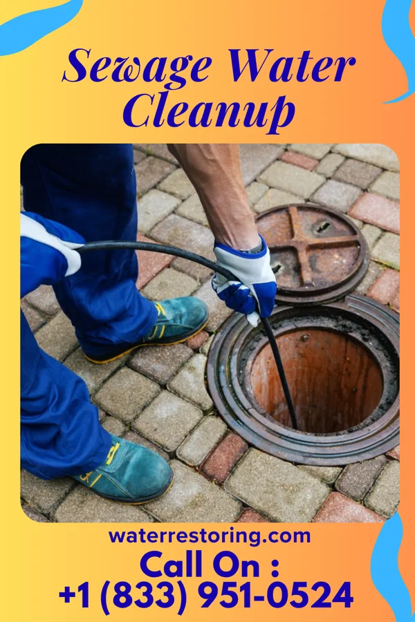 Sewage Water Cleanup in Marshall, NC