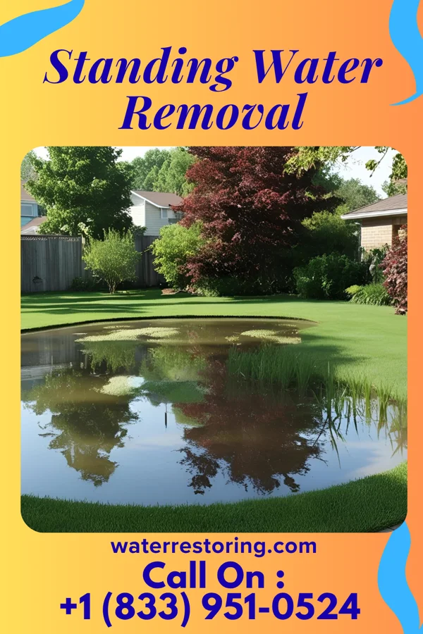 Standing Water Removal in Marshall, NC